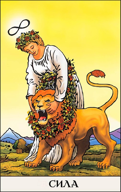 11 ПРОГРАММА — СИЛА Описание программы рождённых 11